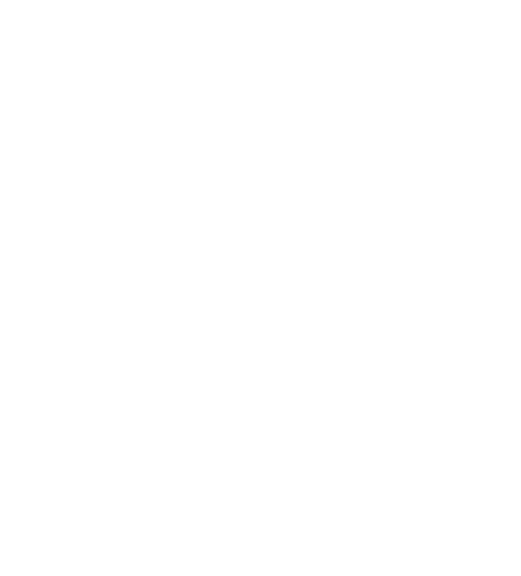 SlumBird Mini Logo