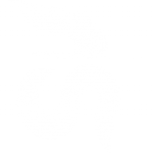 SlumBird Mini Logo
